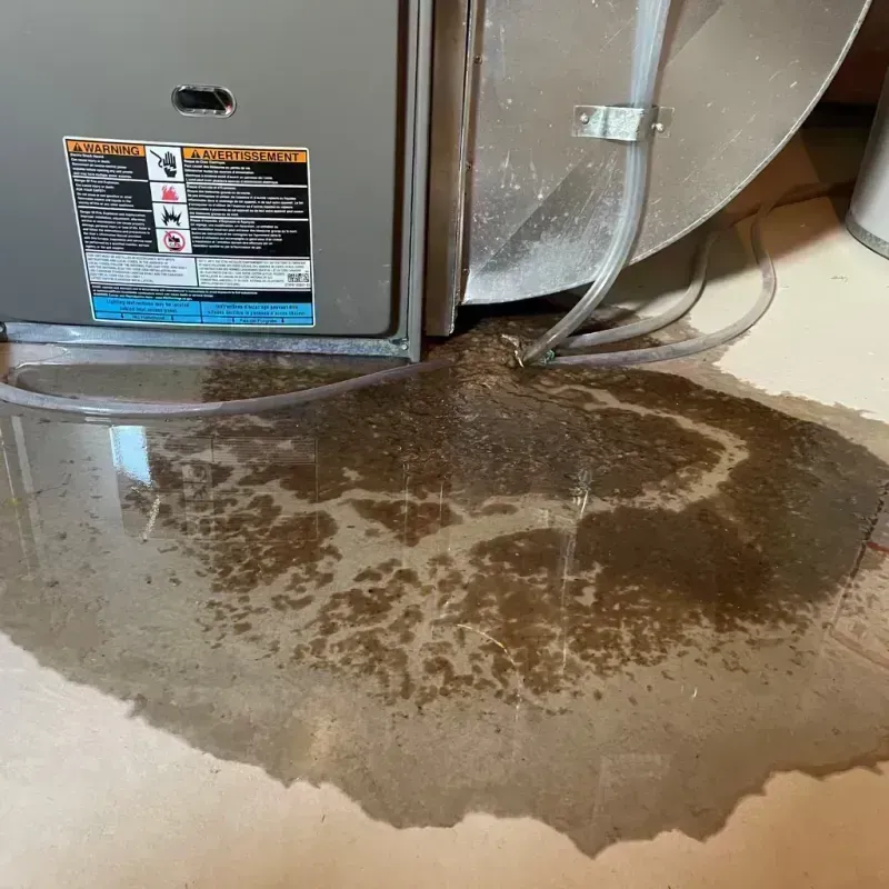 Appliance Leak Cleanup in Powell County, KY